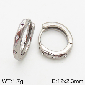 Stainless Steel Earrings  5E4002447vbpb-241
