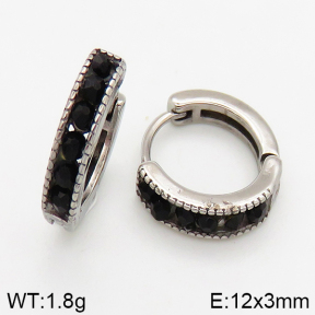 Stainless Steel Earrings  5E4002448vbpb-241