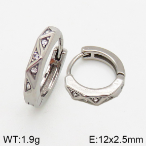 Stainless Steel Earrings  5E4002449vbpb-241