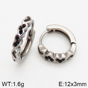 Stainless Steel Earrings  5E4002450vbpb-241