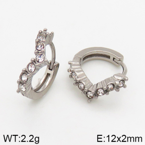 Stainless Steel Earrings  5E4002451vbpb-241