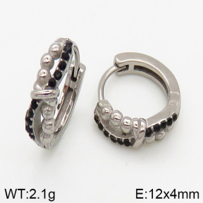 Stainless Steel Earrings  5E4002452vbpb-241