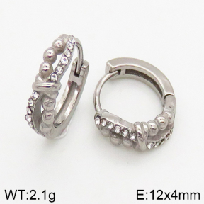Stainless Steel Earrings  5E4002453vbpb-241