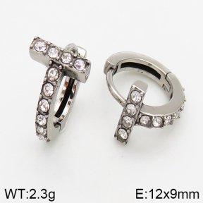 Stainless Steel Earrings  5E4002454vbpb-241