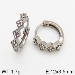 Stainless Steel Earrings  5E4002455vbpb-241