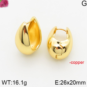 Fashion Copper Earrings  F5E200383bhva-J40