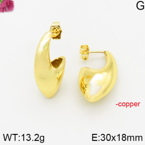 Fashion Copper Earrings  F5E200384bbov-J40