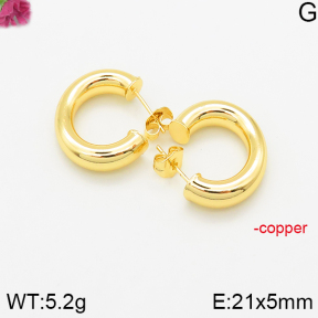 Fashion Copper Earrings  F5E200385bbov-J40