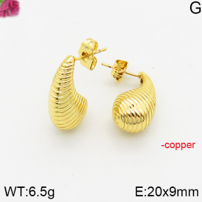 Fashion Copper Earrings  F5E200396vbnb-J40