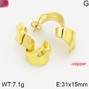 Fashion Copper Earrings  F5E200400vbnb-J40