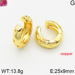 Fashion Copper Earrings  F5E200402bbov-J40