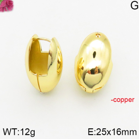 Fashion Copper Earrings  F5E200408bbov-J40