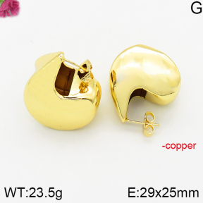 Fashion Copper Earrings  F5E200433vbpb-J40