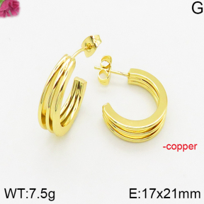 Fashion Copper Earrings  F5E200436vbnb-J40