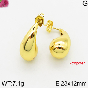 Fashion Copper Earrings  F5E200441bbov-J40