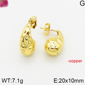 Fashion Copper Earrings  F5E200445vbnb-J40