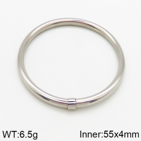  Closeout( No Discount) Stainless Steel Bangle  CL6B00021bbov-742