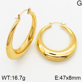  Closeout( No Discount) Stainless Steel Earrings  CL6E00039bhil-742
