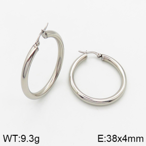  Closeout( No Discount) Stainless Steel Earrings  CL6E00042vbmb-742
