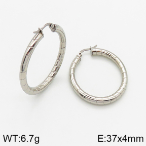  Closeout( No Discount) Stainless Steel Earrings  CL6E00045vbmb-742