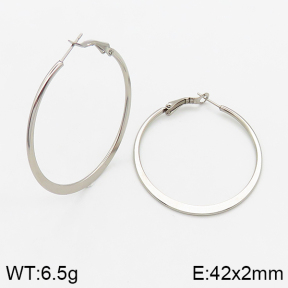  Closeout( No Discount) Stainless Steel Earrings  CL6E00046vaia-742