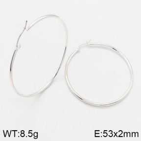  Closeout( No Discount) Stainless Steel Earrings  CL6E00049vaia-742