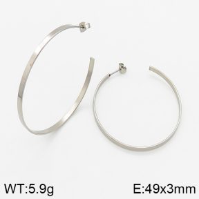  Closeout( No Discount) Stainless Steel Earrings  CL6E00050vaia-742