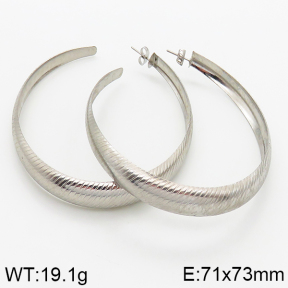  Closeout( No Discount) Stainless Steel Earrings  CL6E00058avja-742