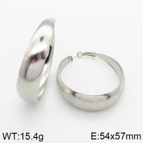  Closeout( No Discount) Stainless Steel Earrings  CL6E00059avja-742