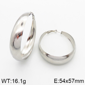  Closeout( No Discount) Stainless Steel Earrings  CL6E00060avja-742