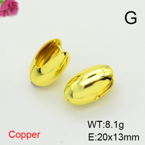 Fashion Copper Earrings  F6E200362vbnb-L017