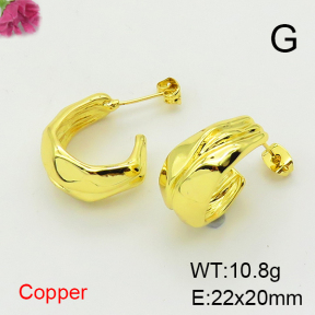 Fashion Copper Earrings  F6E200367vbnb-L017