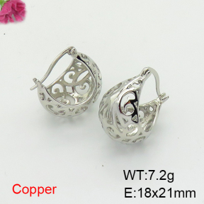 Fashion Copper Earrings  F6E200371vbnb-L017