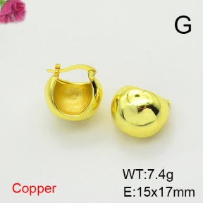 Fashion Copper Earrings  F6E200378vbnb-L017