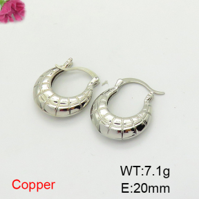 Fashion Copper Earrings  F6E200382vbnb-L017