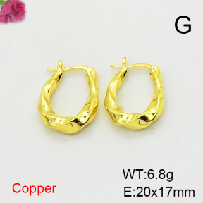 Fashion Copper Earrings  F6E200383vbnb-L017