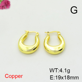 Fashion Copper Earrings  F6E200384vbnb-L017