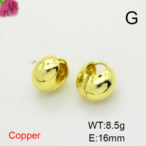 Fashion Copper Earrings  F6E200391vbnb-L017
