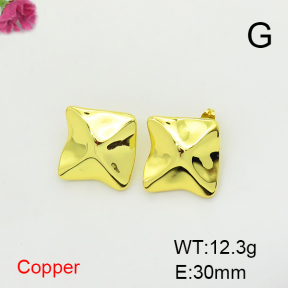 Fashion Copper Earrings  F6E200395vbnb-L017