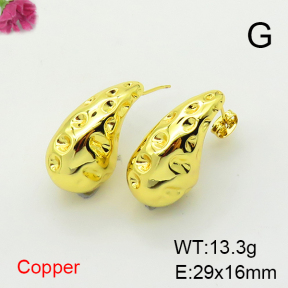 Fashion Copper Earrings  F6E200399vbnb-L017