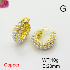 Fashion Copper Earrings  F6E301717bhva-L017