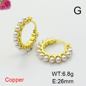Fashion Copper Earrings  F6E301718bhva-L017