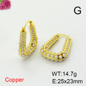 Fashion Copper Earrings  F6E301721ahlv-L017