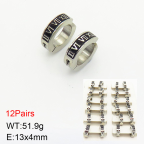 Stainless Steel Earrings  2E2002267bmmb-256