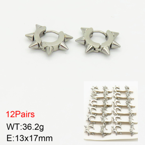 Stainless Steel Earrings  2E2002279amaa-256