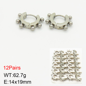 Stainless Steel Earrings  2E2002280amaa-256