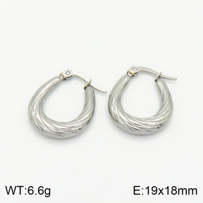 Stainless Steel Earrings  2E2002282bbov-259
