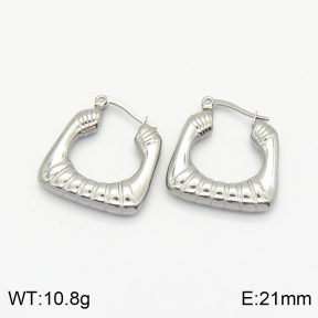 Stainless Steel Earrings  2E2002288bbov-259