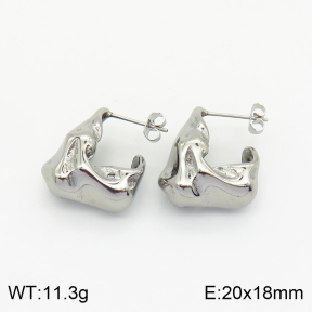 Stainless Steel Earrings  2E2002293bbov-259
