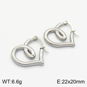 Stainless Steel Earrings  2E2002299vbnb-259